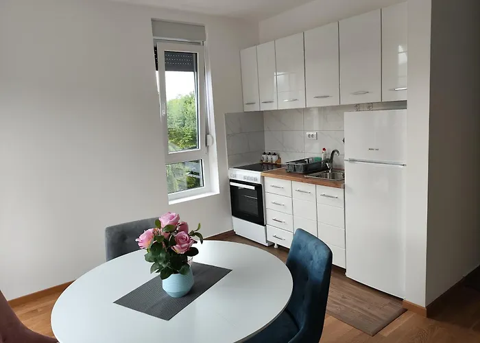 Popovic * 소코 반자