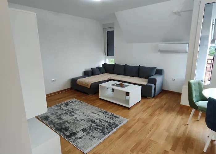 Popovic * 소코 반자