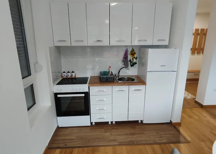 Popovic 소코 반자